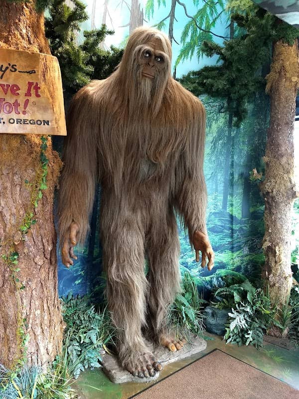 Ripley's Believe It or Not! World of Adventure - Image 2