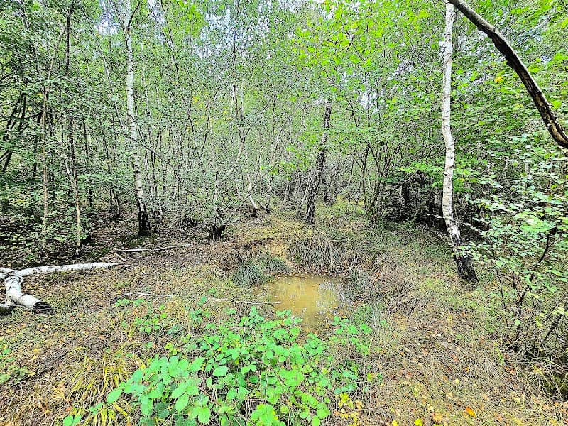 The Mount - Image 2
