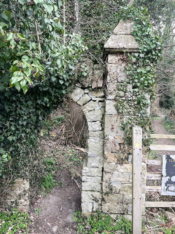 The Oak at the Gate of the Dead - Image 3