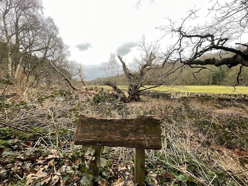 The Oak at the Gate of the Dead - Image 2