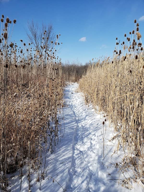 Southgate Nature Center - Image 2
