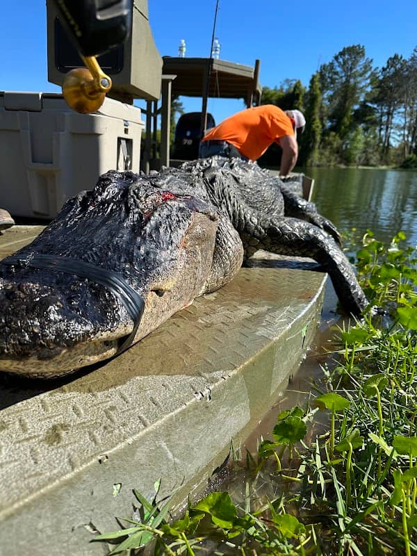 Bienville Outdoors - Image 1