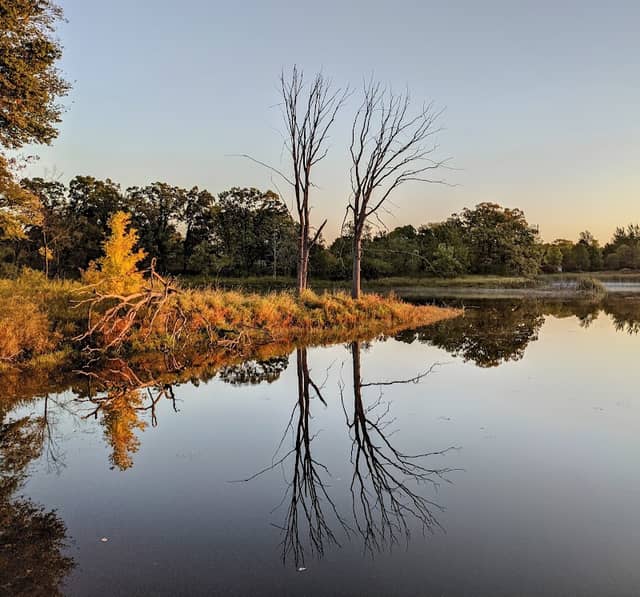 Nordic Center at Lake Elmo Park Reserve - Image 1