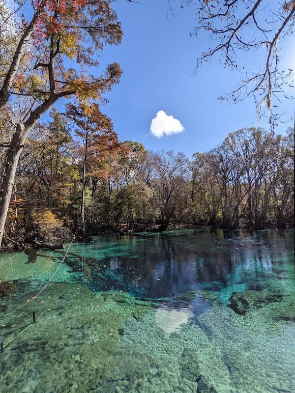 Choctawhatchee and Holmes Creek Water Management Area - Image 1