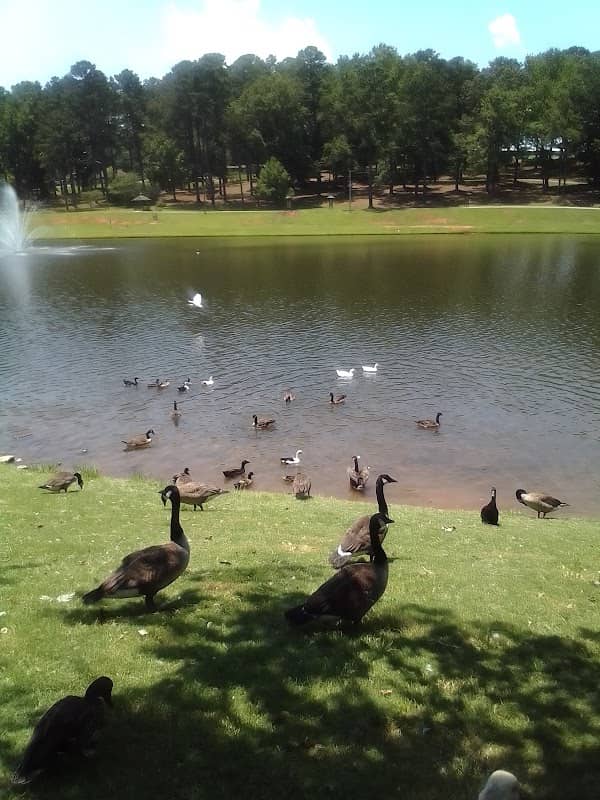 Foster Park - Image 1