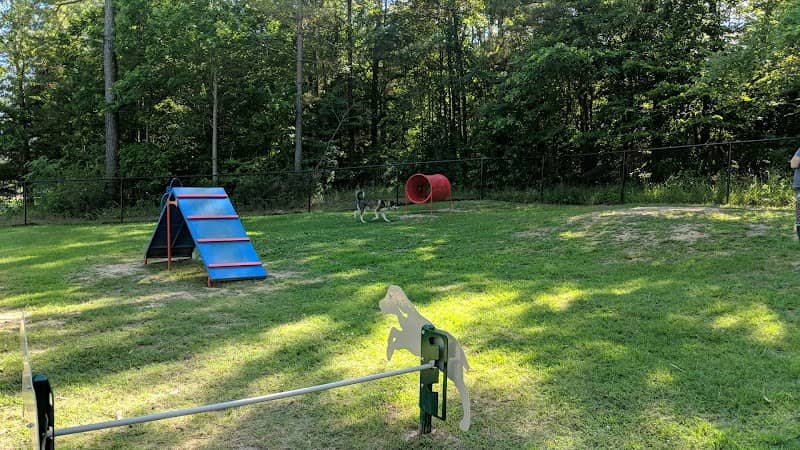 Chester T Dog Park - Image 1