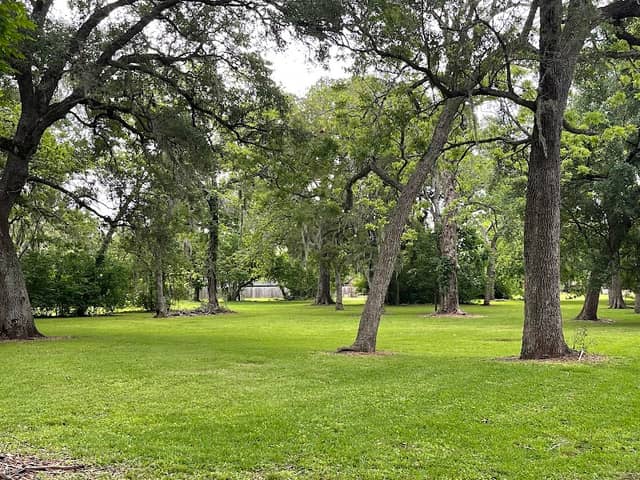 Banyan Pocket Park - Image 1