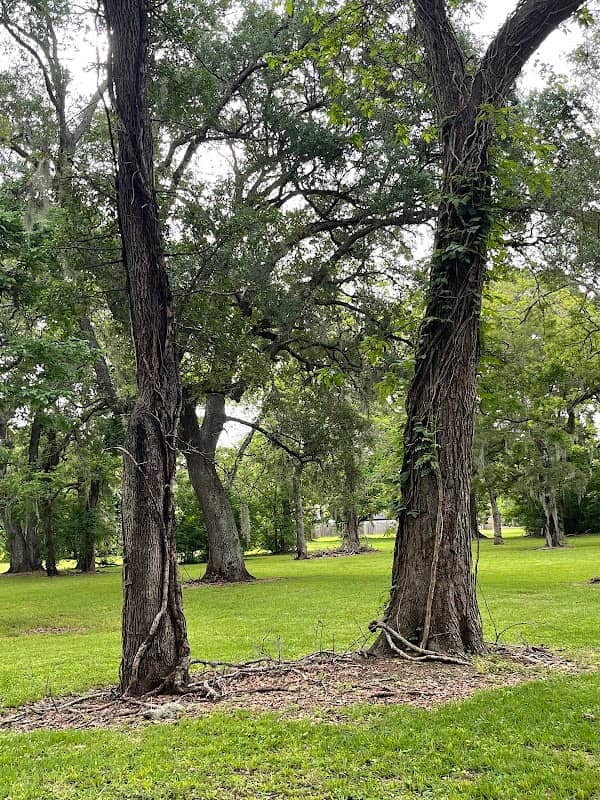 Banyan Pocket Park - Image 3