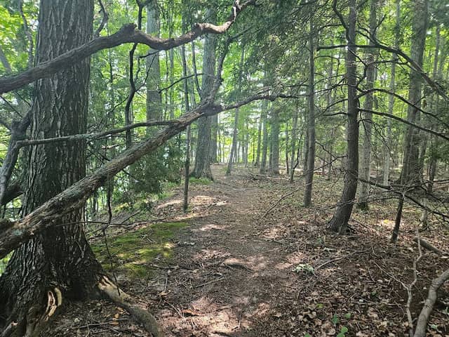 Old Mission State Park - Image 2