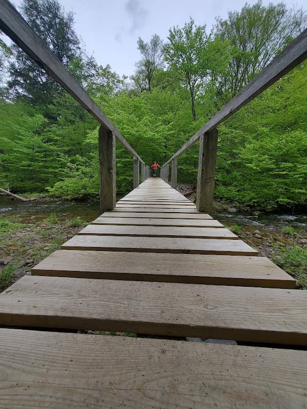Peekamoose Mountain Trailhead Parking - Image 1