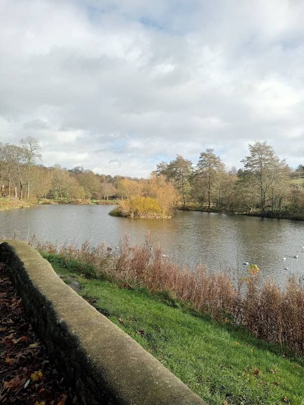 Ball Grove Park - Image 2