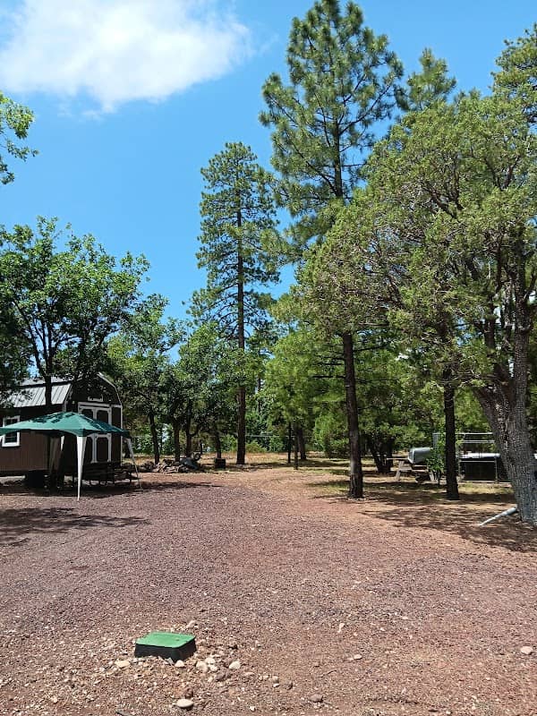 Pinetop AZ - Image 2