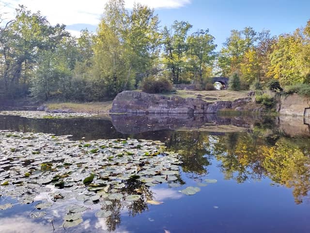Möhlau - Park - Image 1