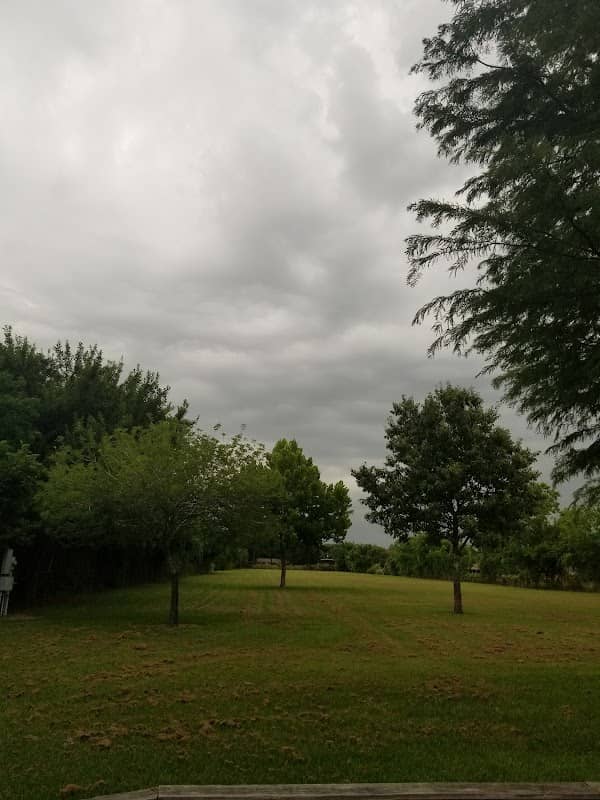 Newcastle Park - Image 1