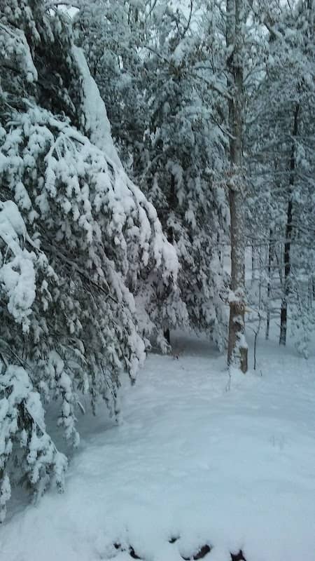 Stokes State Forest - Image 1