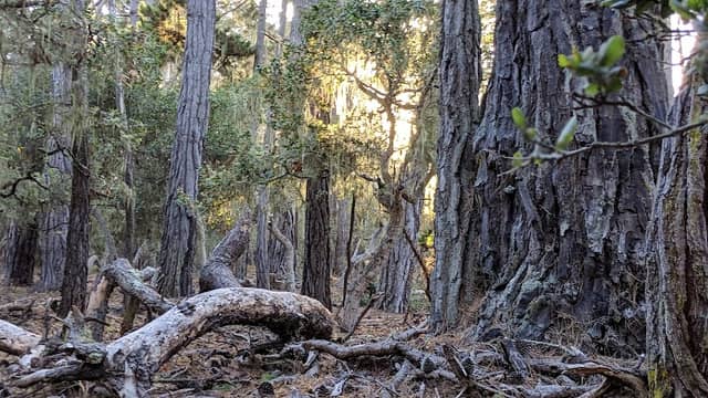 Rip Van Winkle Open Space - Image 3