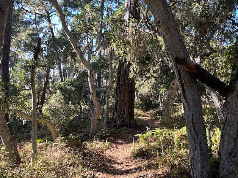 Rip Van Winkle Open Space - Image 1