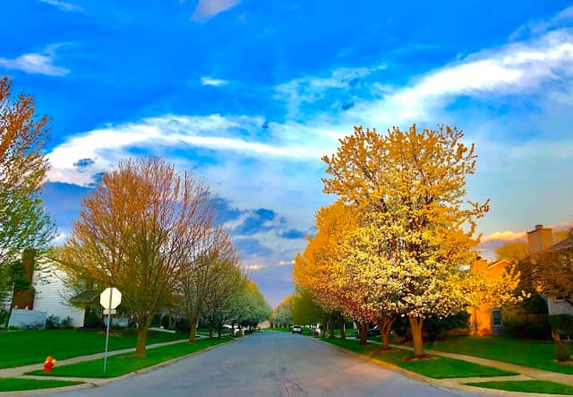 Erlenbach Park - Image 2