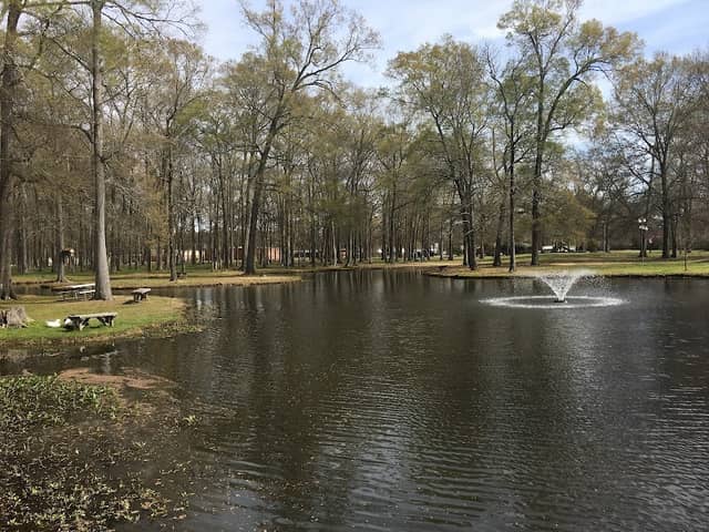 Bright Park - Image 1