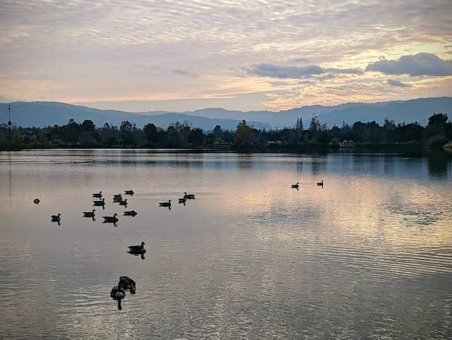 Los Gatos Creek County Park - Image 2