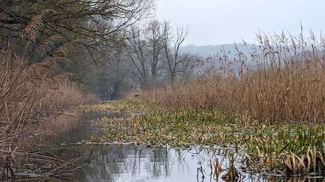 Międzyodrze - Image 1