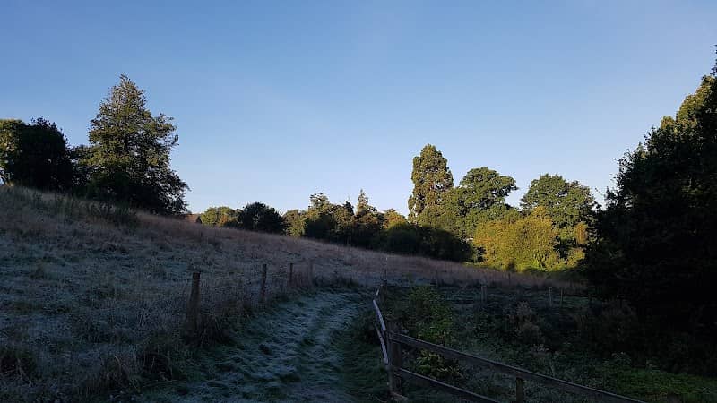 Lexden Springs Nature Reserve - Image 1
