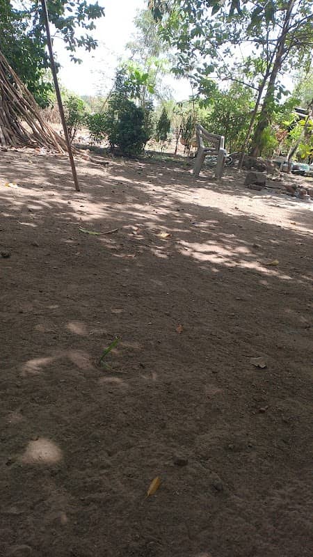 Dayal Park - Image 1
