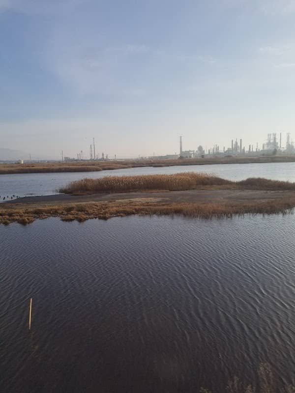 Point Edith Wildlife Area - Image 1