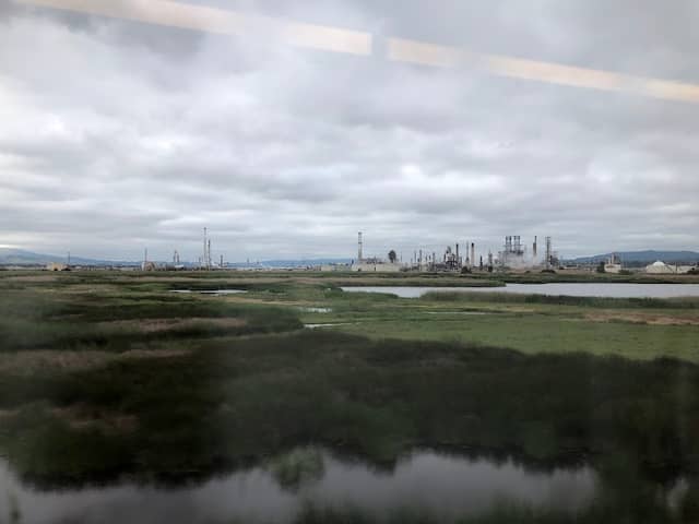 Point Edith Wildlife Area - Image 2