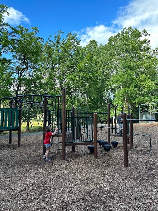 Hopkins Park - Image 1
