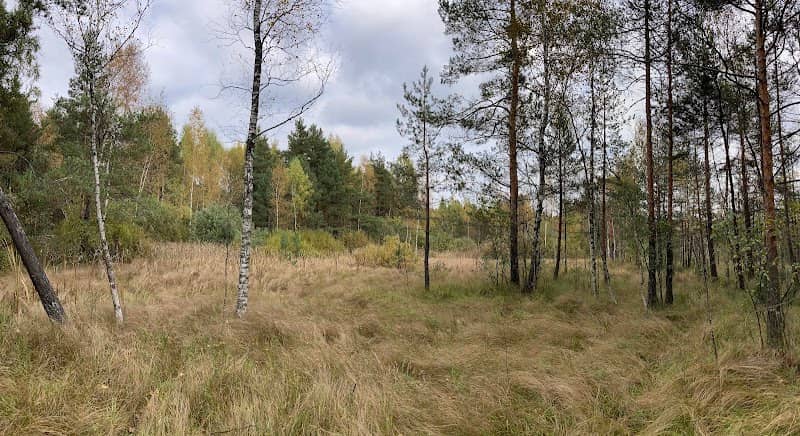 Boloto Sotka - Image 1