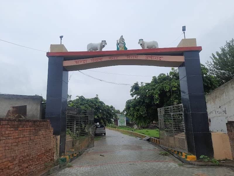 Kanha Gaushala - Image 1