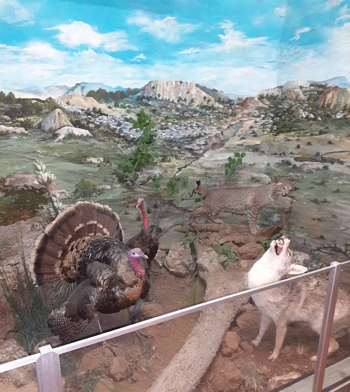 Roberts County Museum - Image 1