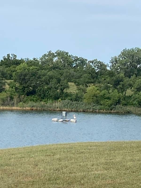 Veteran's Memorial Lake - Image 2