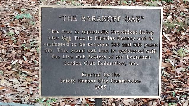 Baranoff Park - Image 2