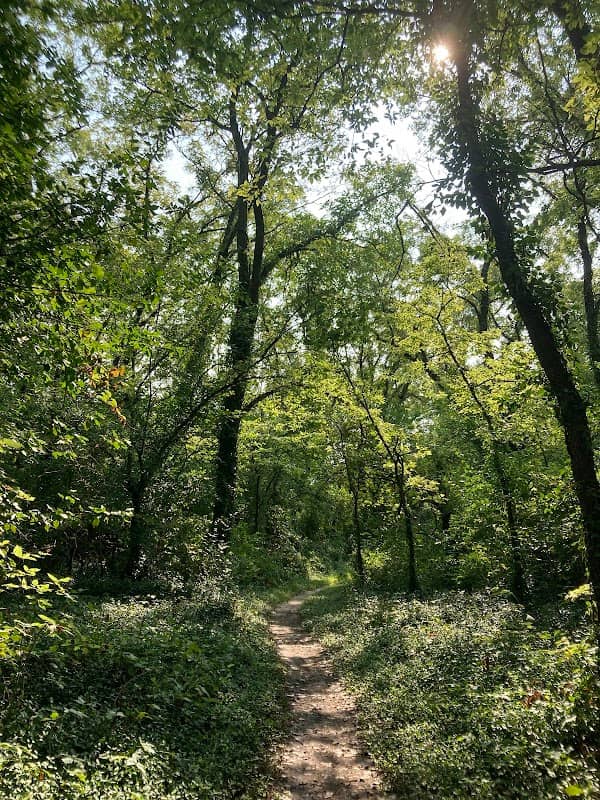Lawrence River Trails - Image 2