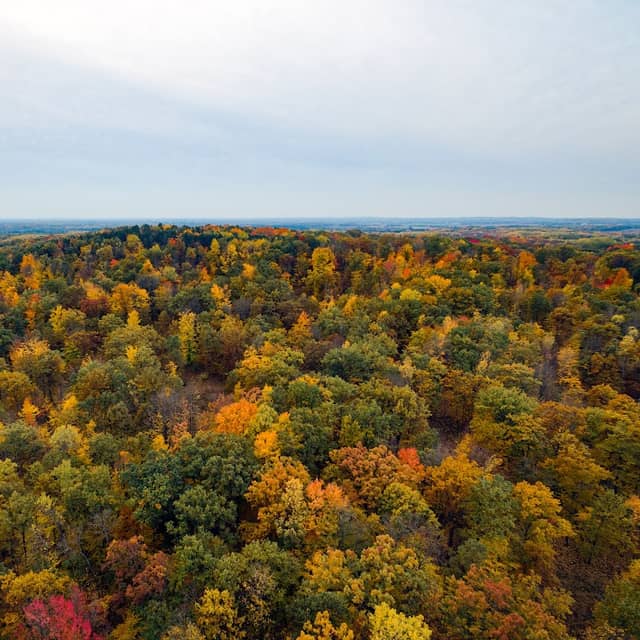 Bundy Hill Preserve - Image 1