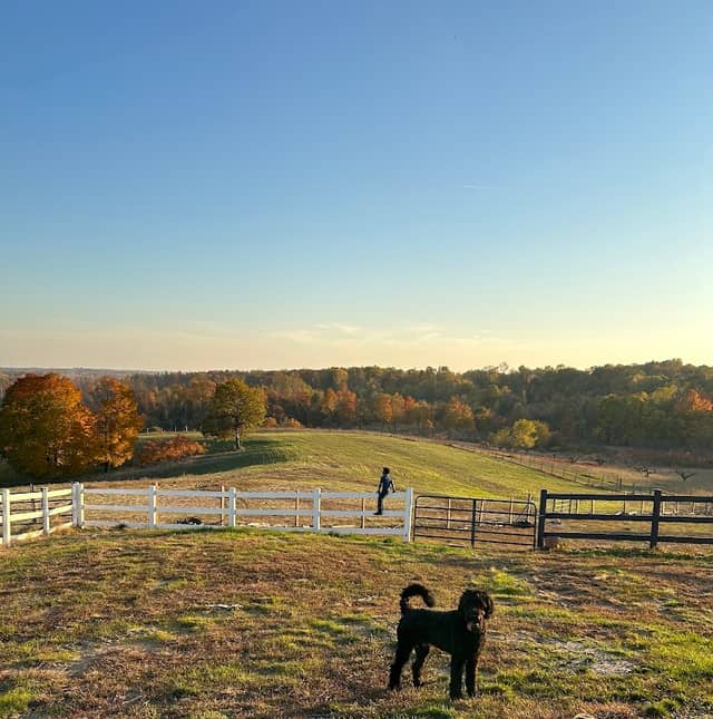 Fool For You Farm - Image 1