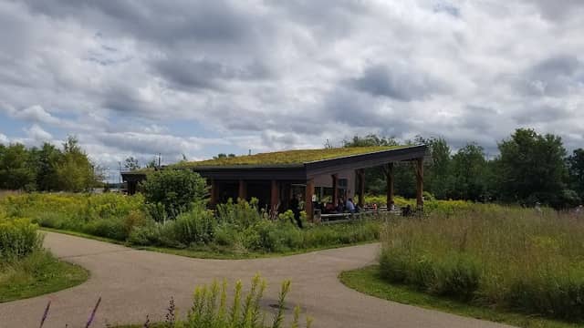 McColl Pond Environmental Learning Center - Image 3