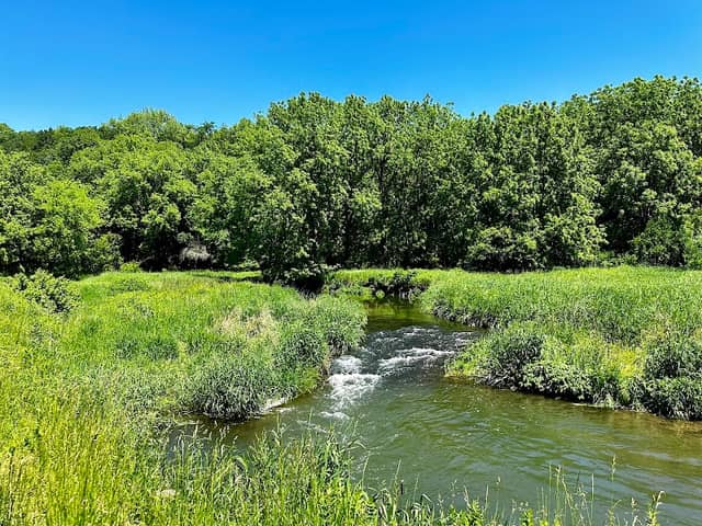Cold Water Spring State Preserve - Image 1