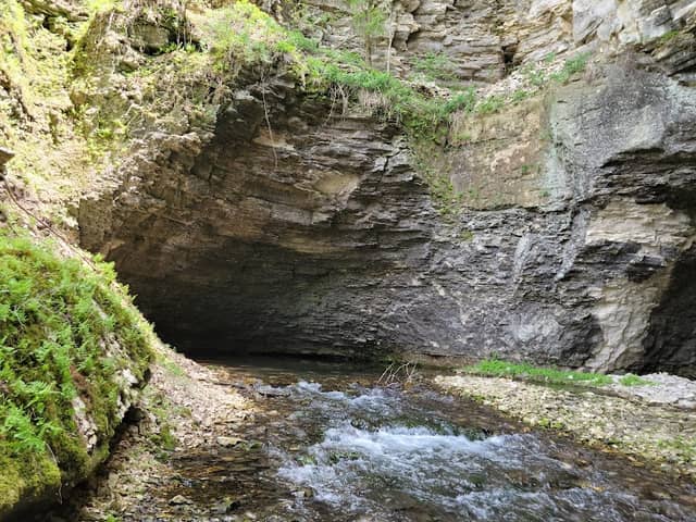 Cold Water Spring State Preserve - Image 2