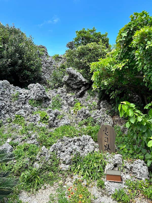 Hanari Power Spot - Image 1