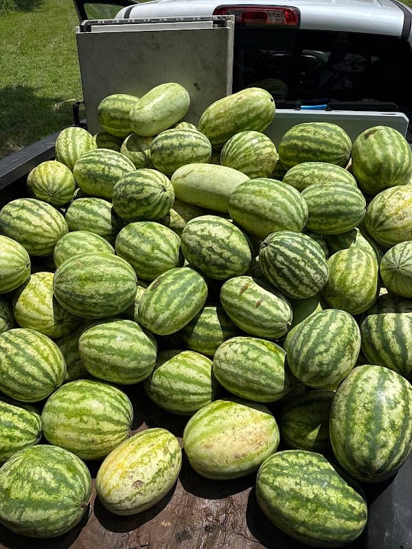 Saddletree Rd Fresh Produce - Image 1