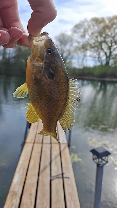 Creekchub pond - Image 1