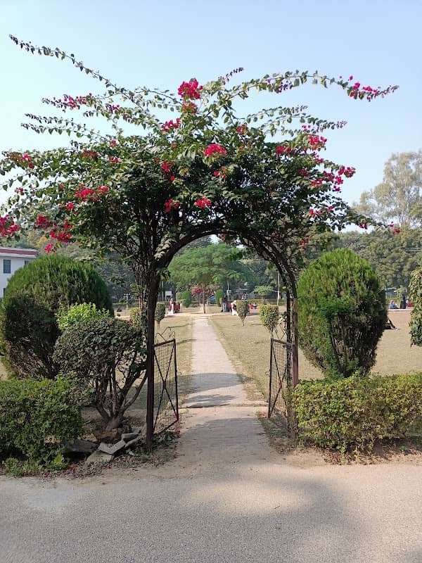 Gulmohar Garden - Image 2
