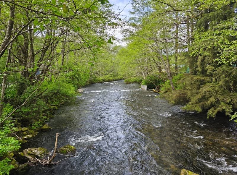 Ketchkan Creek - Image 1