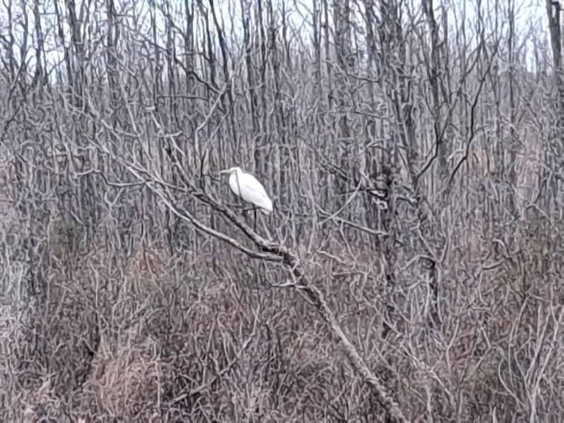Unit 2/3 Levee Trail - Image 1
