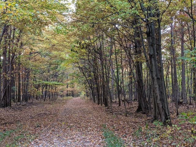 Cassell Reservation - Image 1