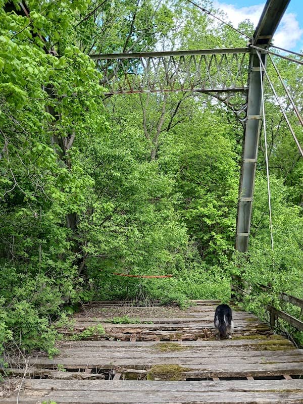 Hardin City Woodland - Image 1