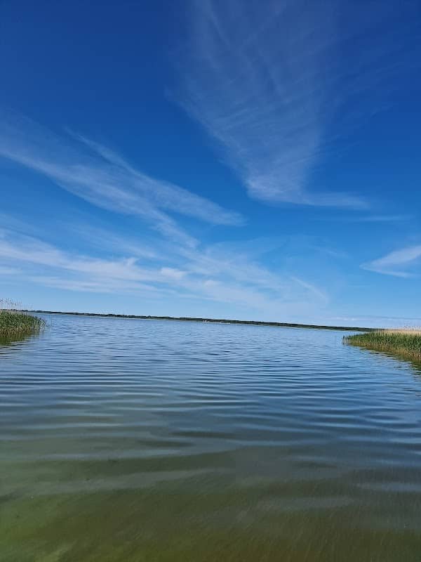 Plaża w Osiekach - Image 1